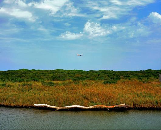 Airflights and nature have critical relationship.